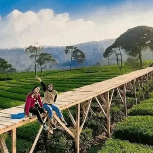 Destinasi Wisata Bogor