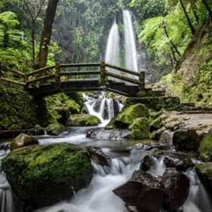 Destinasi Wisata Solo